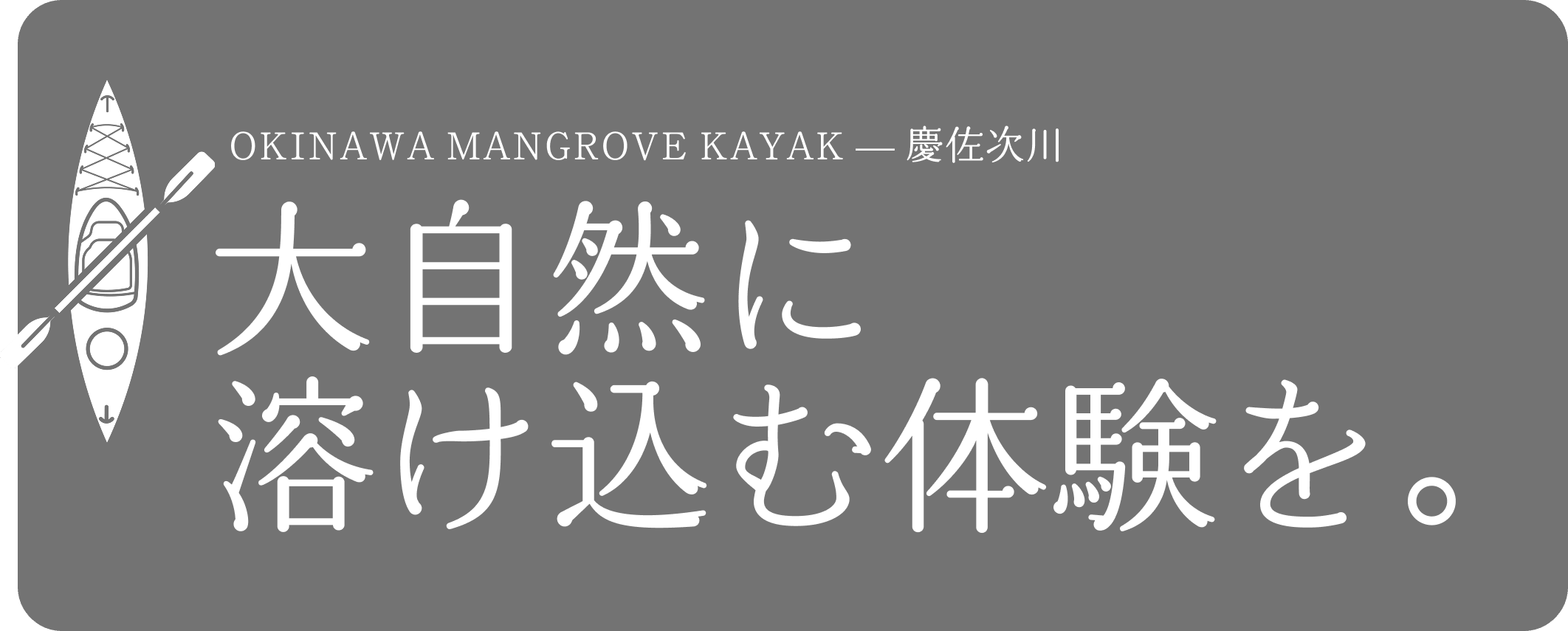 OKINAWA MANGROVE KAYAK — 慶佐次川 沖縄の大自然に溶け込む体験をカヤックで。