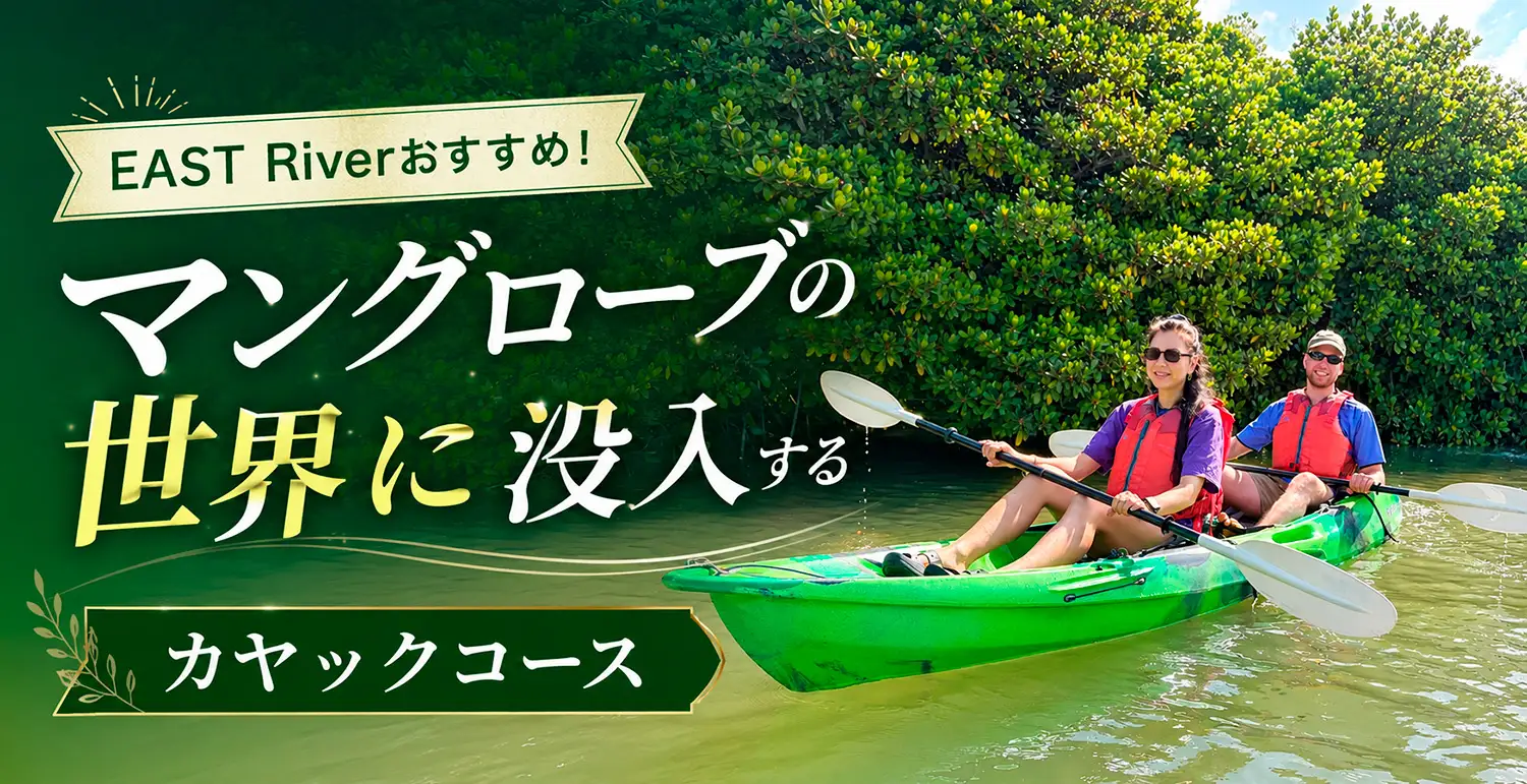 EAST Riverおすすめ マングローブの世界に没入するカヤックコースを沖縄で体感