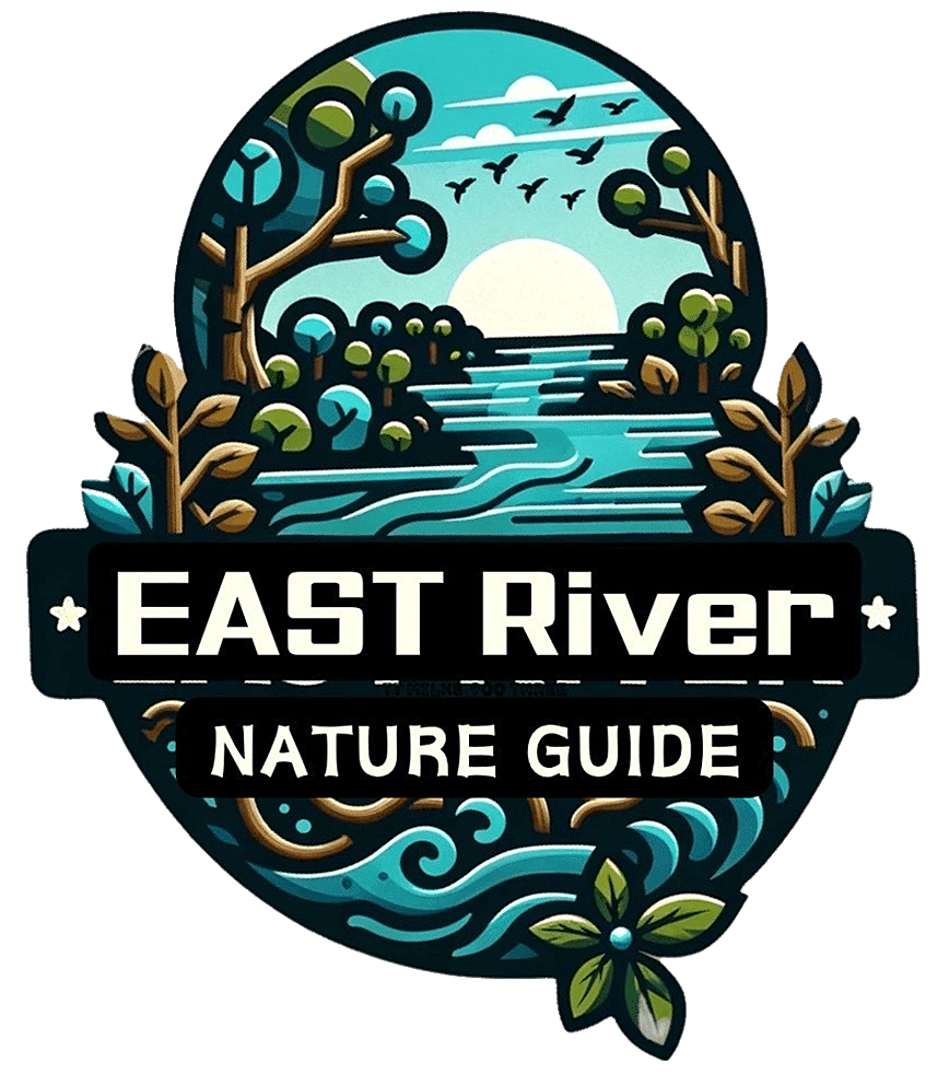 沖縄でマングローブカヤック EAST River NATURE GUIDE